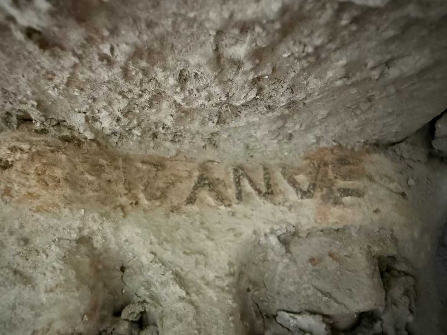 Used Sany SY365H Excavator 2020 Model / 8