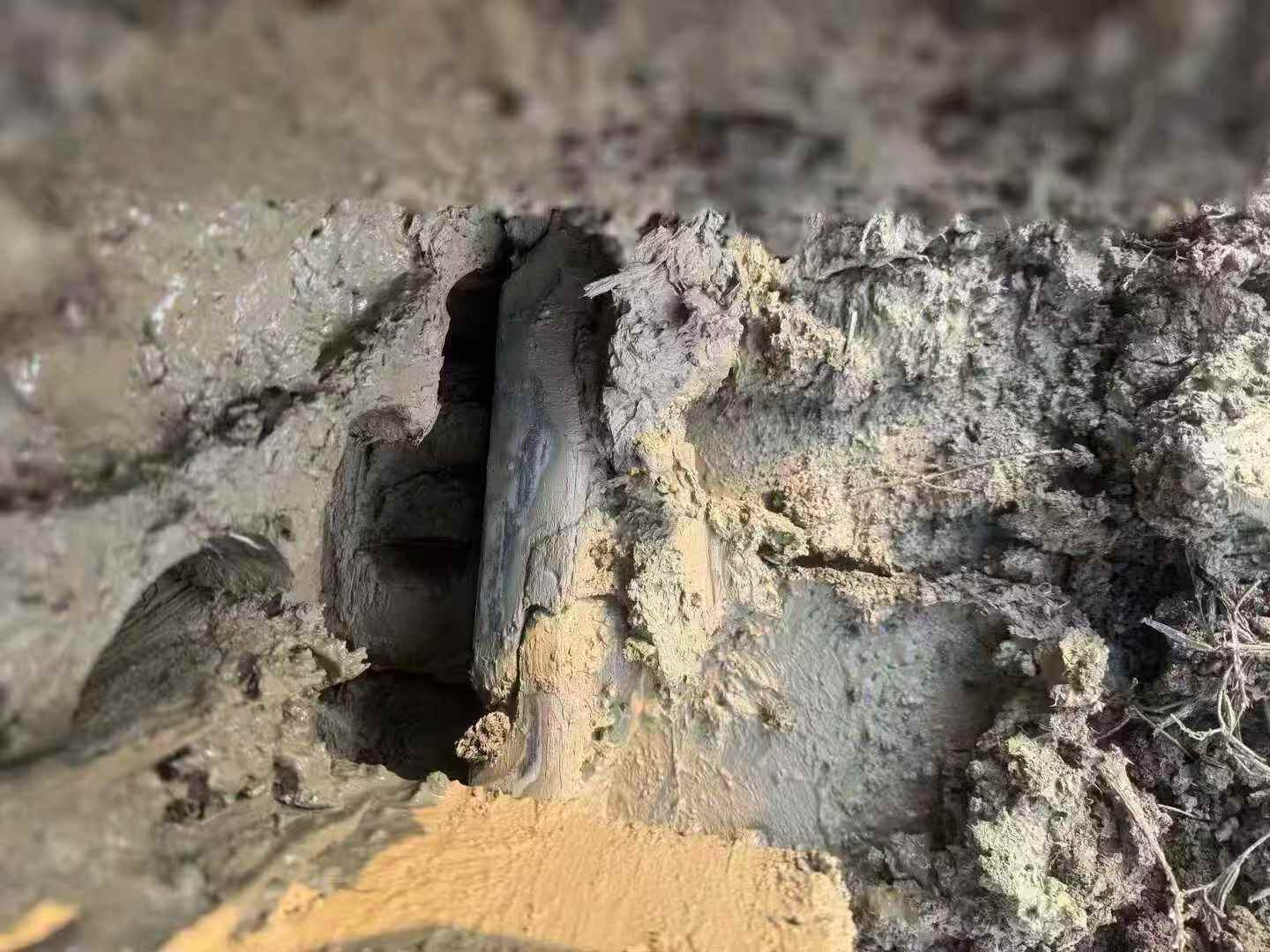 Used Sany SY205C-10 Excavator 2021 Model / 5