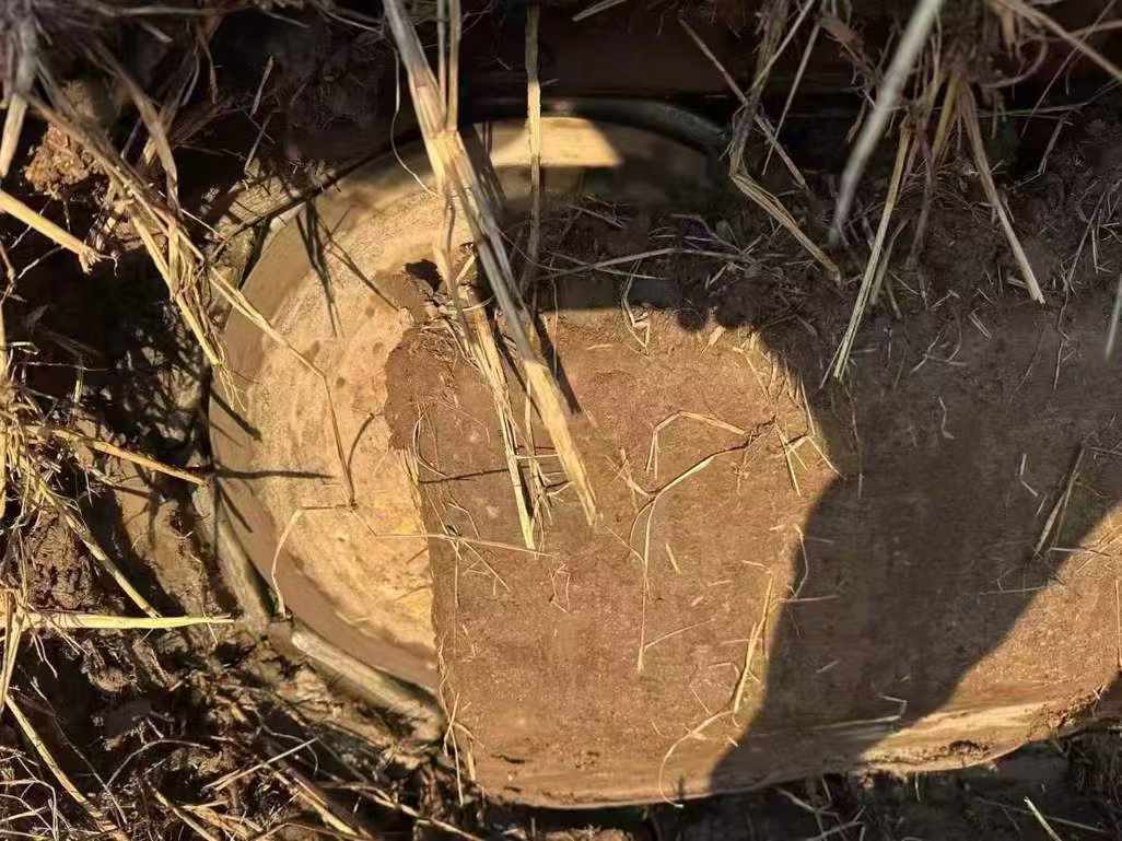 Used Caterpillar CT20 Excavator 2021 Model / 7