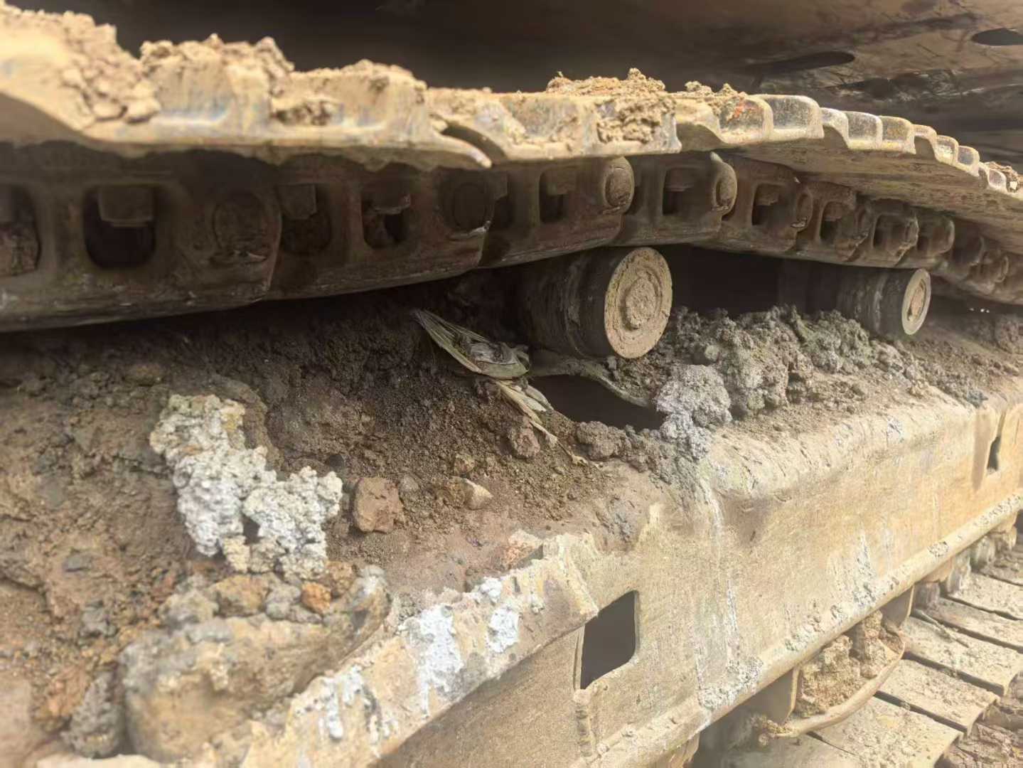 Used Caterpillar 320D Excavator 2016 Model / 4