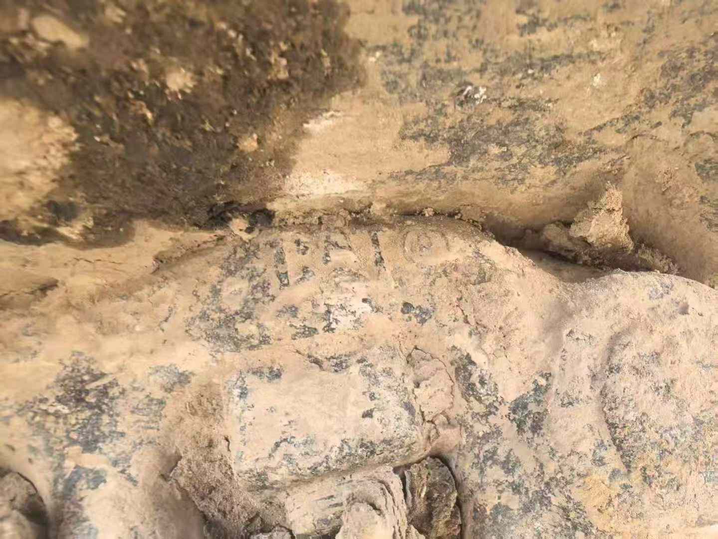 Used Caterpillar 323 Excavator 2017 Model / 8