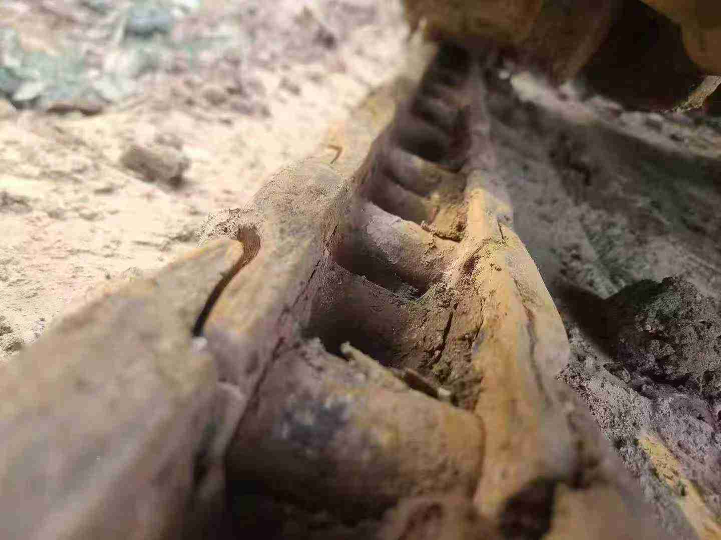 Used Hyundai HX60 Excavator 2014 Model / 5