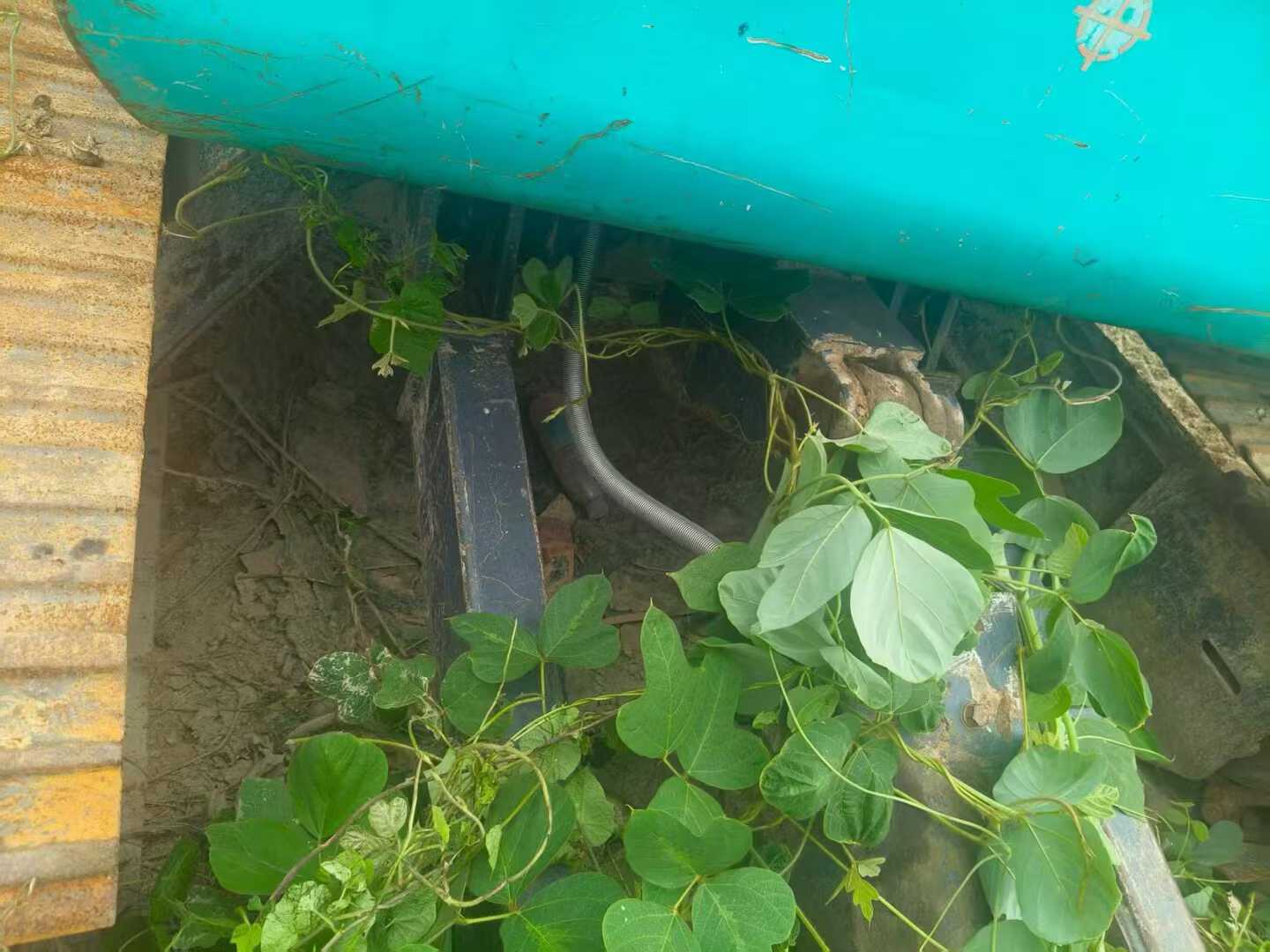 Used Kobelco SK60 Excavator 2019 Model / 2