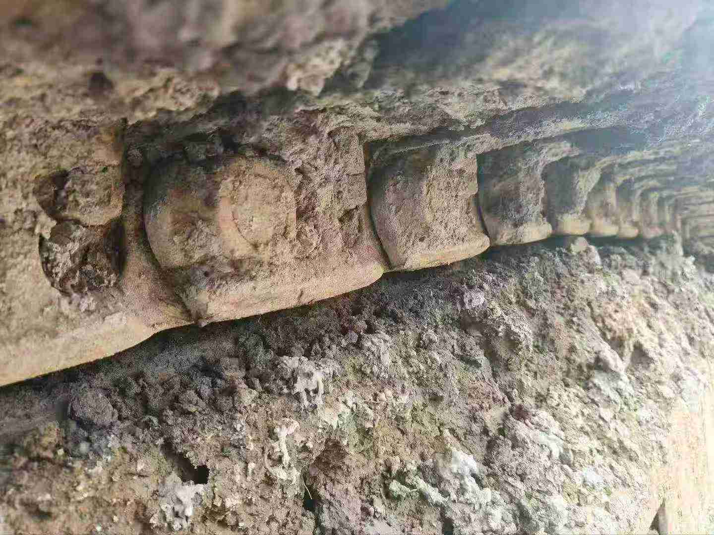 Used XCMG XE215 Excavator 2016 Model / 3