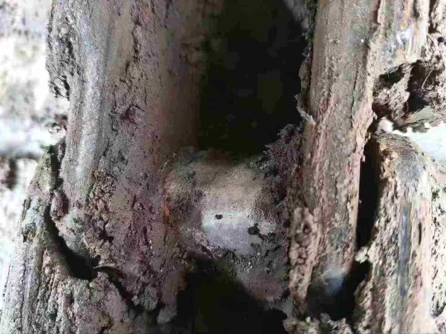 Used Kobelco SK75 Excavator 2015 Model / 3