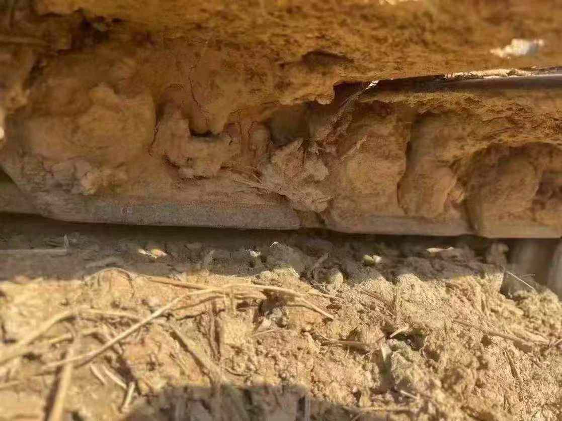 Used Caterpillar 313D2 Excavator 2018 Model / 9