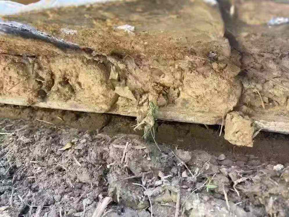 Used Caterpillar 313D2 Excavator 2018 Model / 5