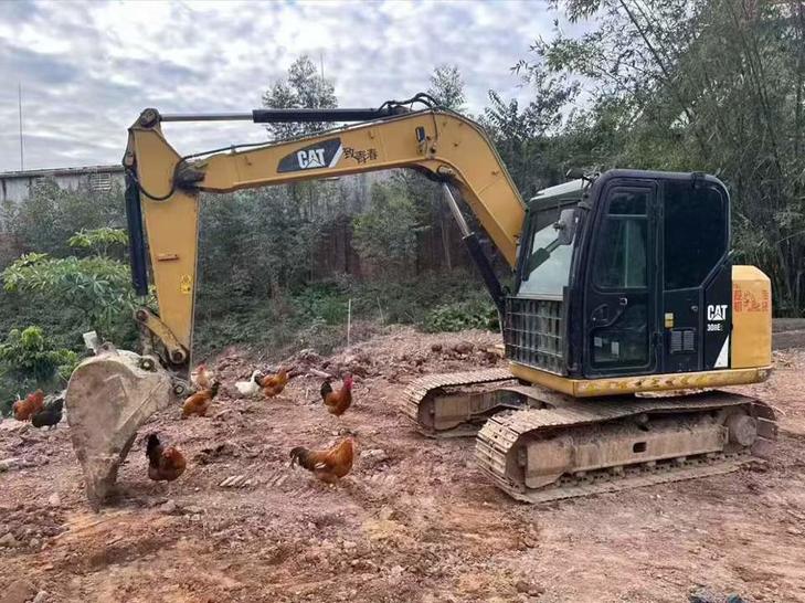 Buy Caterpillar 307V2 Used Excavator / 1