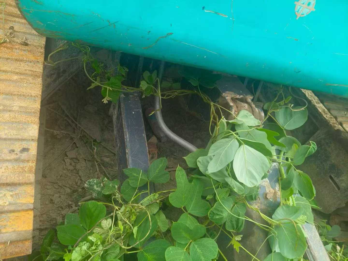 Used Kobelco SK60 Excavator 2019 Model / 2