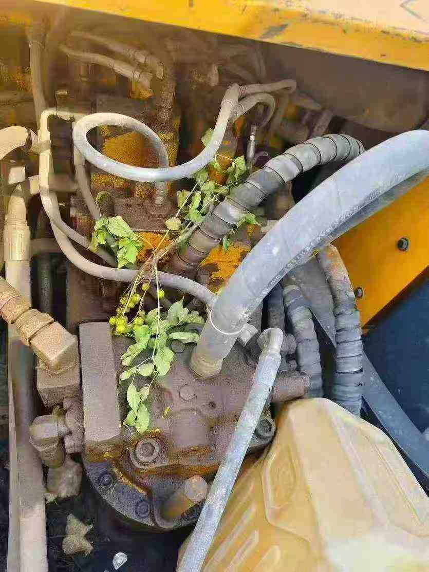 Used Hyundai R225-7 Excavator 2016 Model / 3