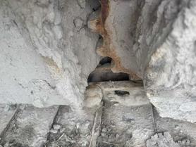 Buy Sany SY55 Used Excavator / 9 Used Sany SY55 Excavator 2021 Model / 9