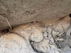 Buy Komatsu PC60 Used Excavator / 7 Used Komatsu PC60 Excavator 2018 Model / 7