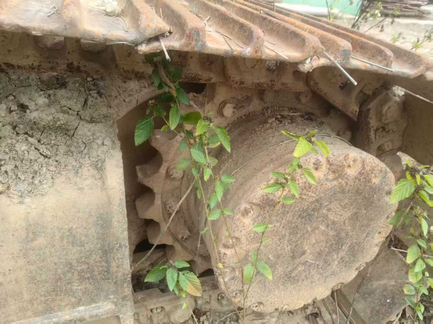 Used Sany SY215W Excavator 2016 Model / 8