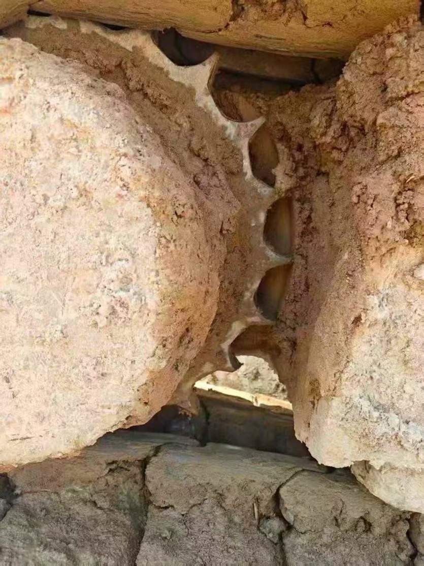 Used Sany SY245H Excavator 2019 Model / 8