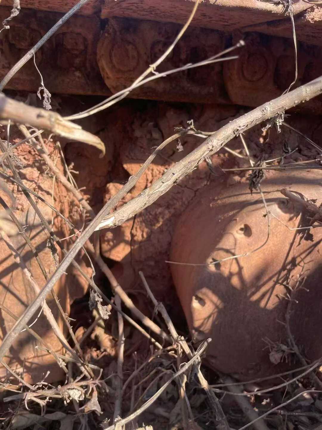 Used Sany SY365LC-8 Excavator 2012 Model / 5