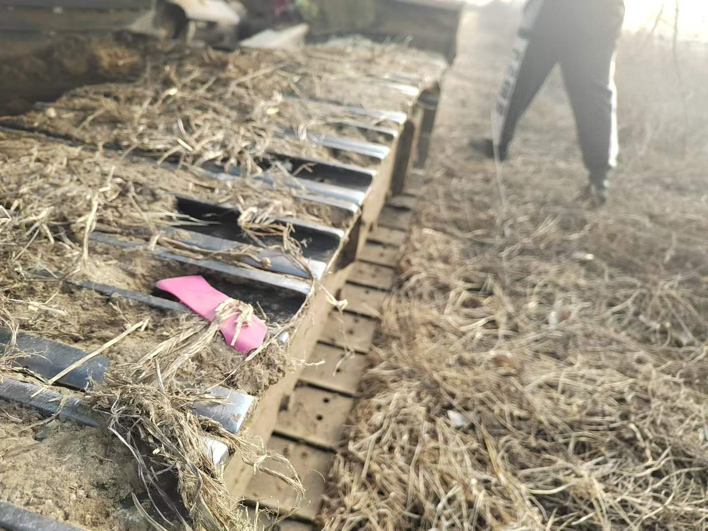 Used Sany SY55 Excavator 2022 Model / 4