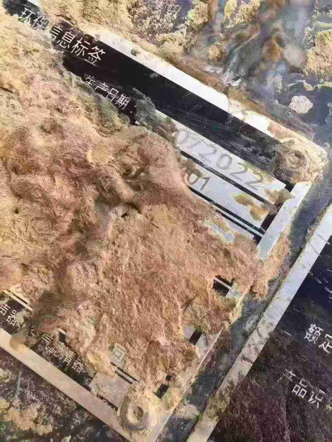 Used XCMG XE55D Excavator 2022 Model / 6