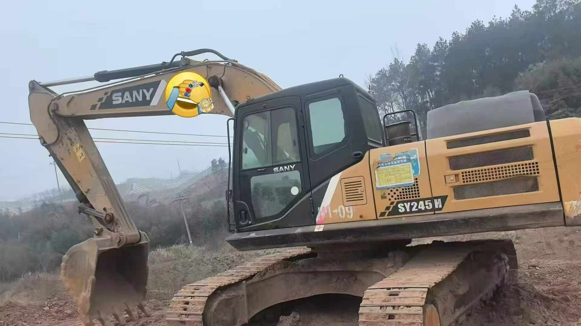 Used Sany SY245H Excavator 2017 Model / 8