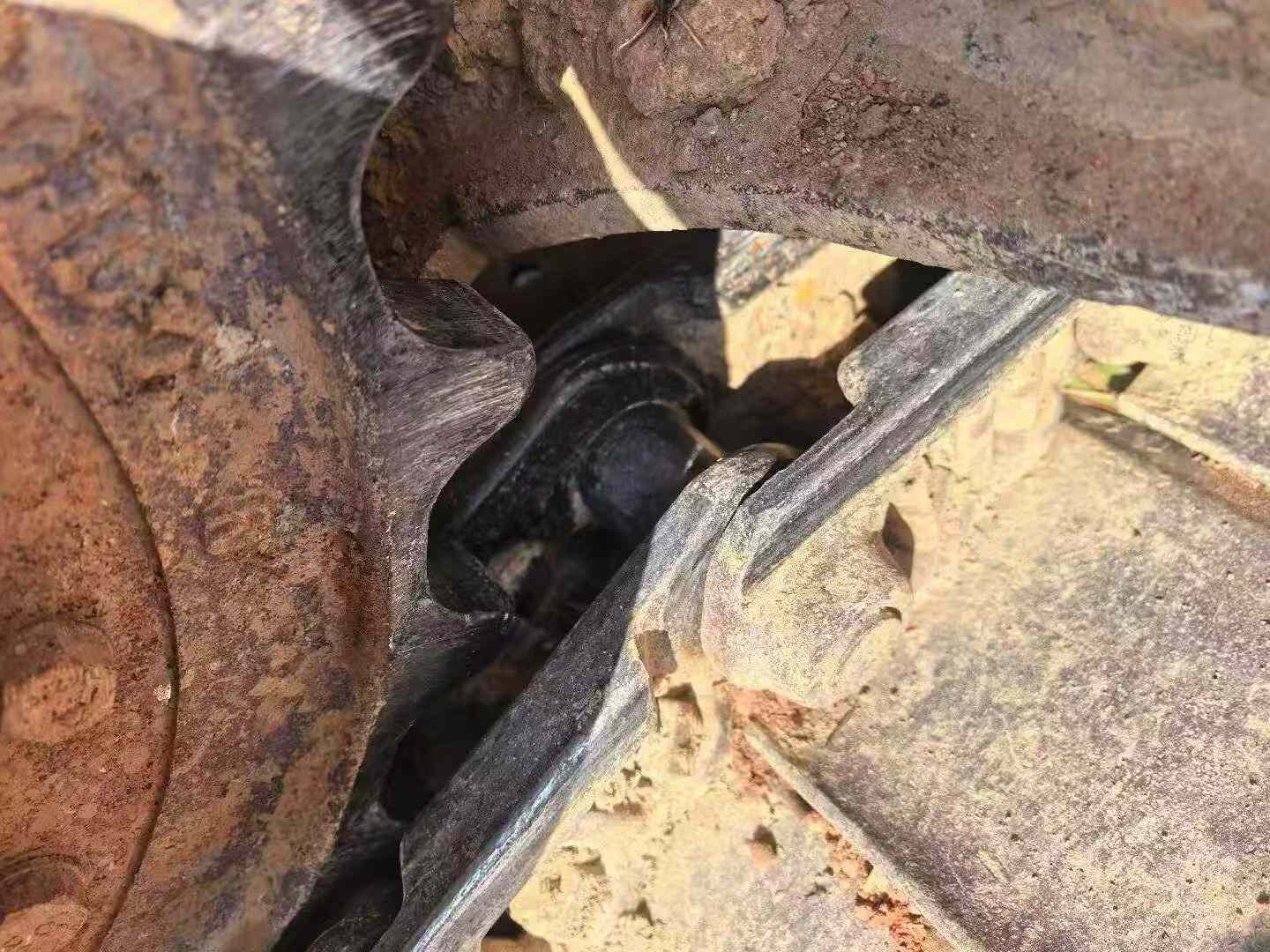 Used Sany SY125H Excavator 2020 Model / 7