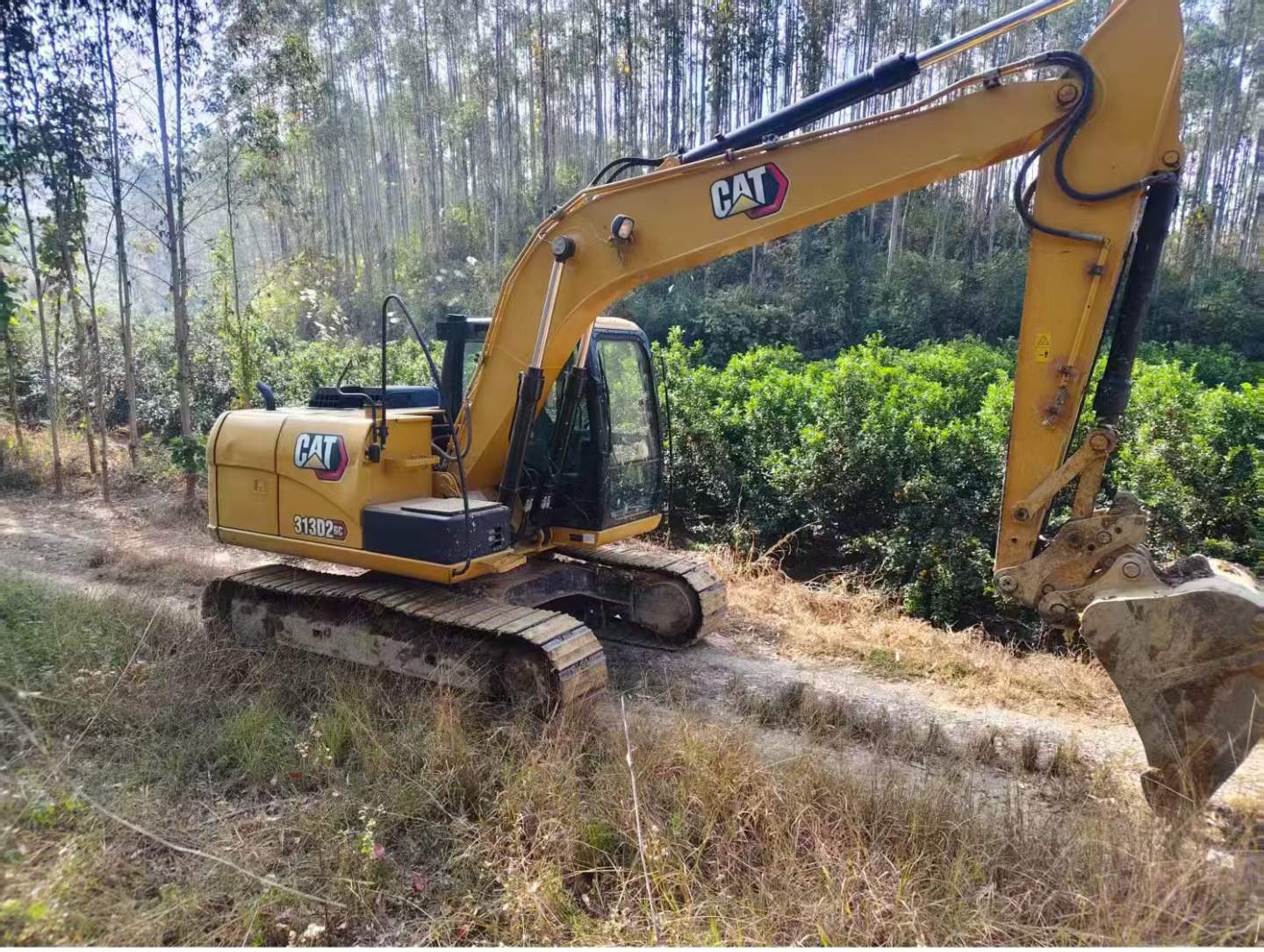 Buy Caterpillar 313D2 Used Excavator