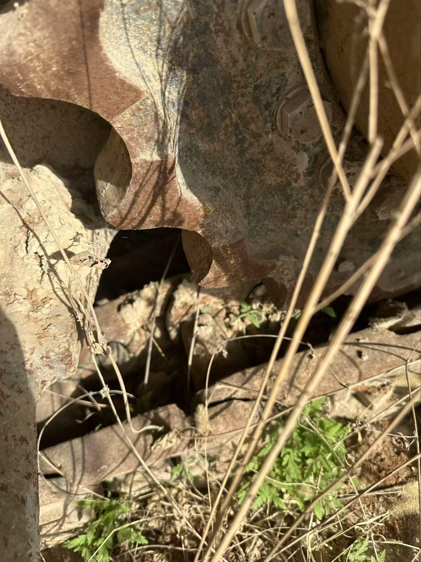 Used Doosan DX500 Excavator 2016 Model / 7