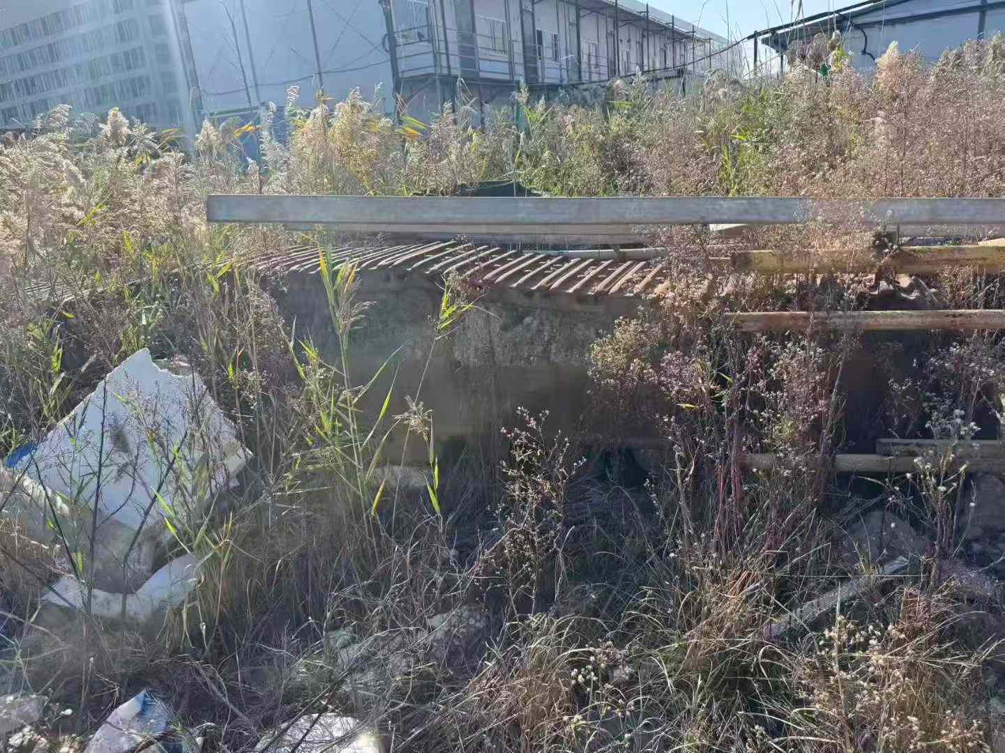 Used Sany SY365H Excavator 2020 Model / 7