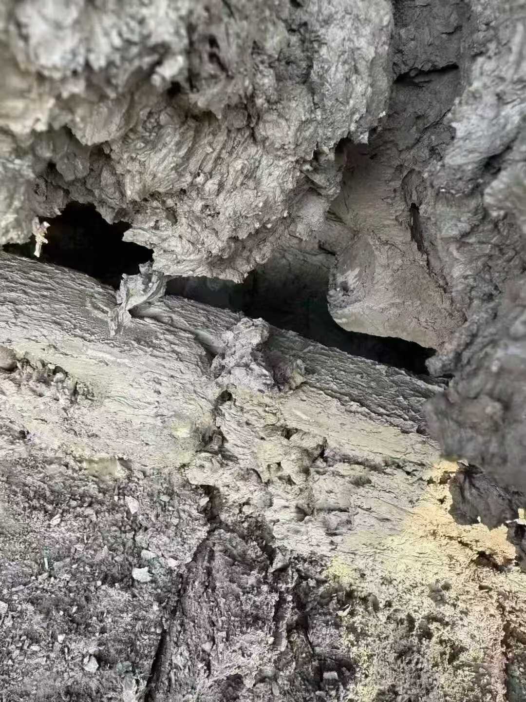 Used Sany SY200H Excavator 2021 Model / 7