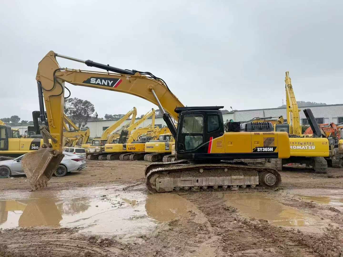 Buy Sany SY365H Used Excavator