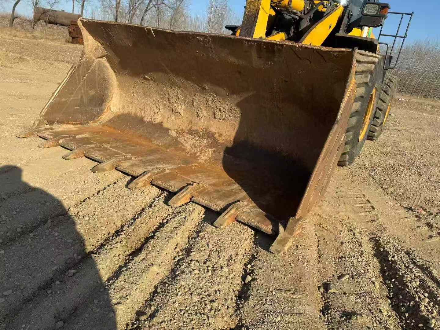 Buy SDLG L955FH Used Loader / 8