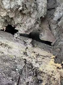 Buy Sany SY200H Used Excavator / 7 Used Sany SY200H Excavator 2021 Model / 7