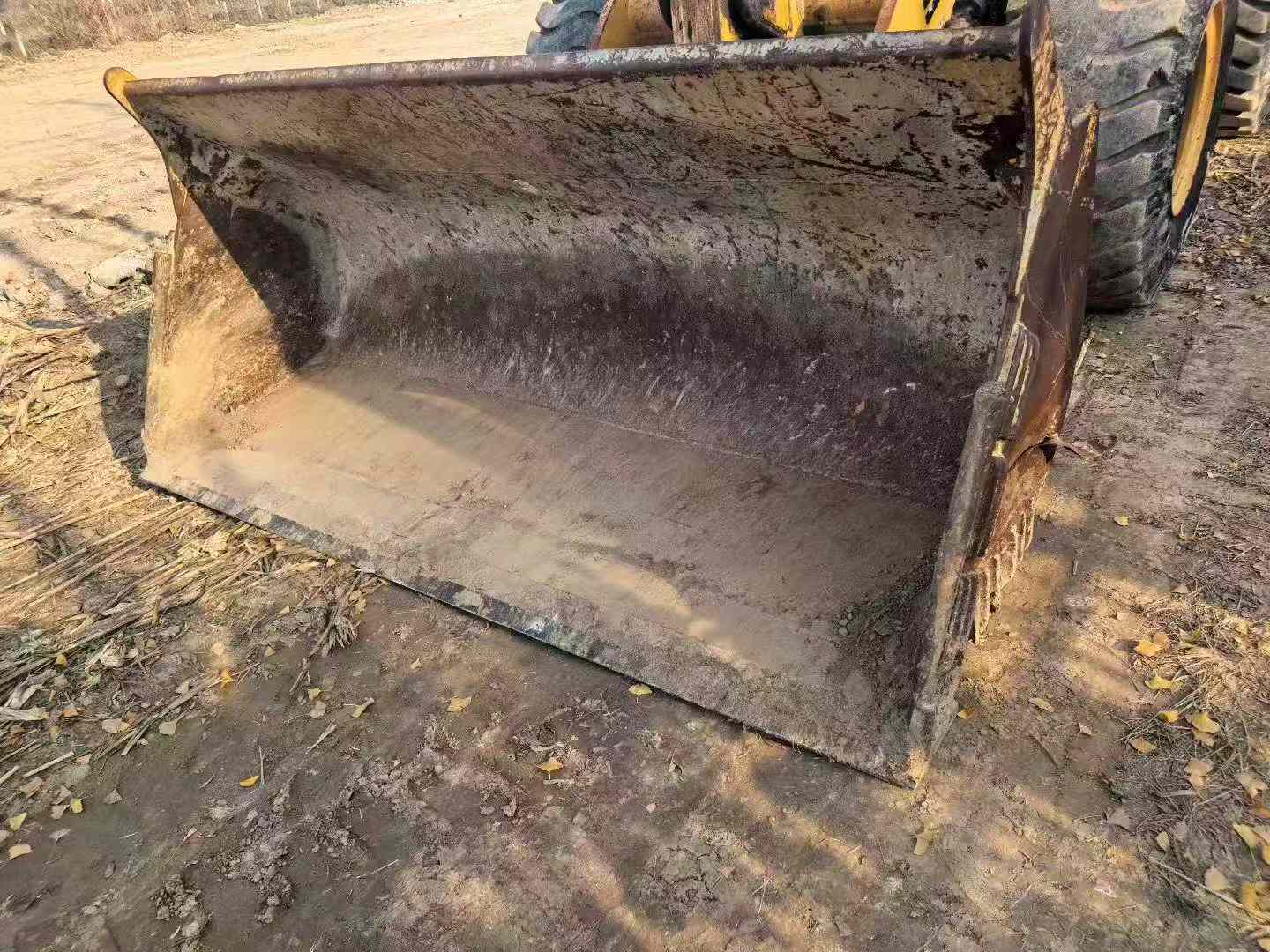 Buy SDLG LG955N Used Loader / 8