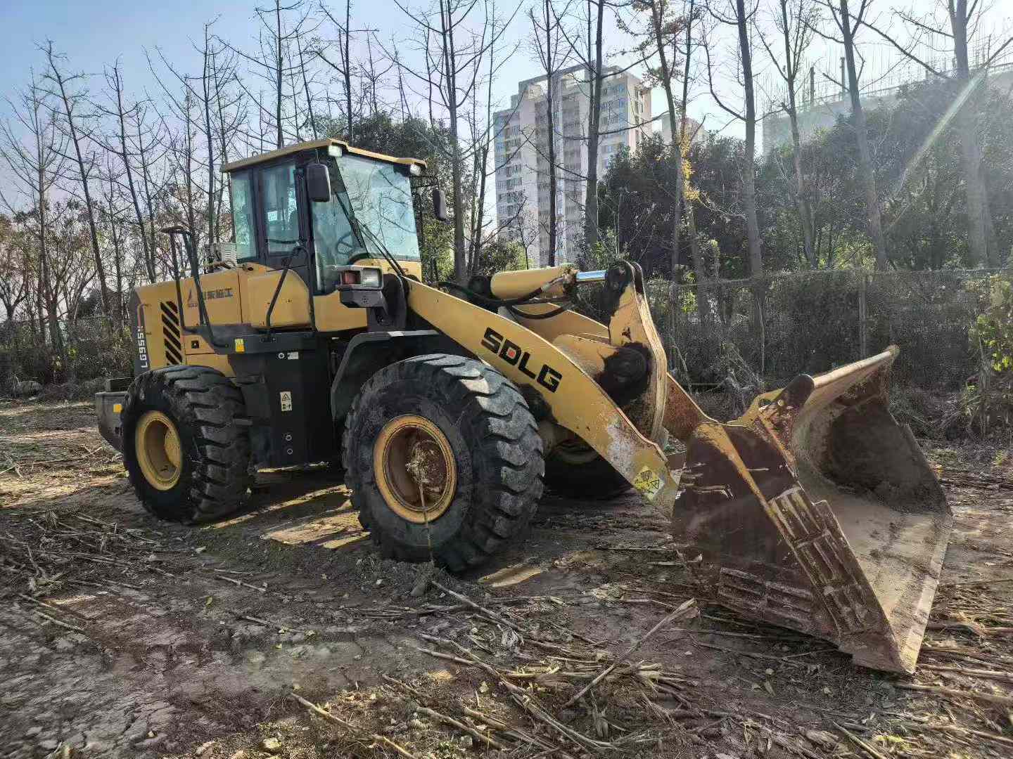 Buy SDLG LG955N Used Loader