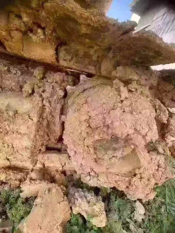 Used Komatsu PC56-7 Excavator 2018 Model / 7