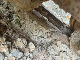 Buy Caterpillar 324DL Used Excavator / 5 Used Caterpillar 324DL Excavator 2016 Model / 5