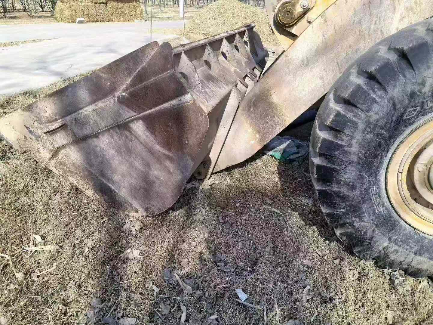 Buy LiuGong CLG855N Used Loader / 5