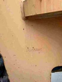 Buy Lonking LG855B Used Loader / 8 Buy Lonking LG855B Used Loader / 8