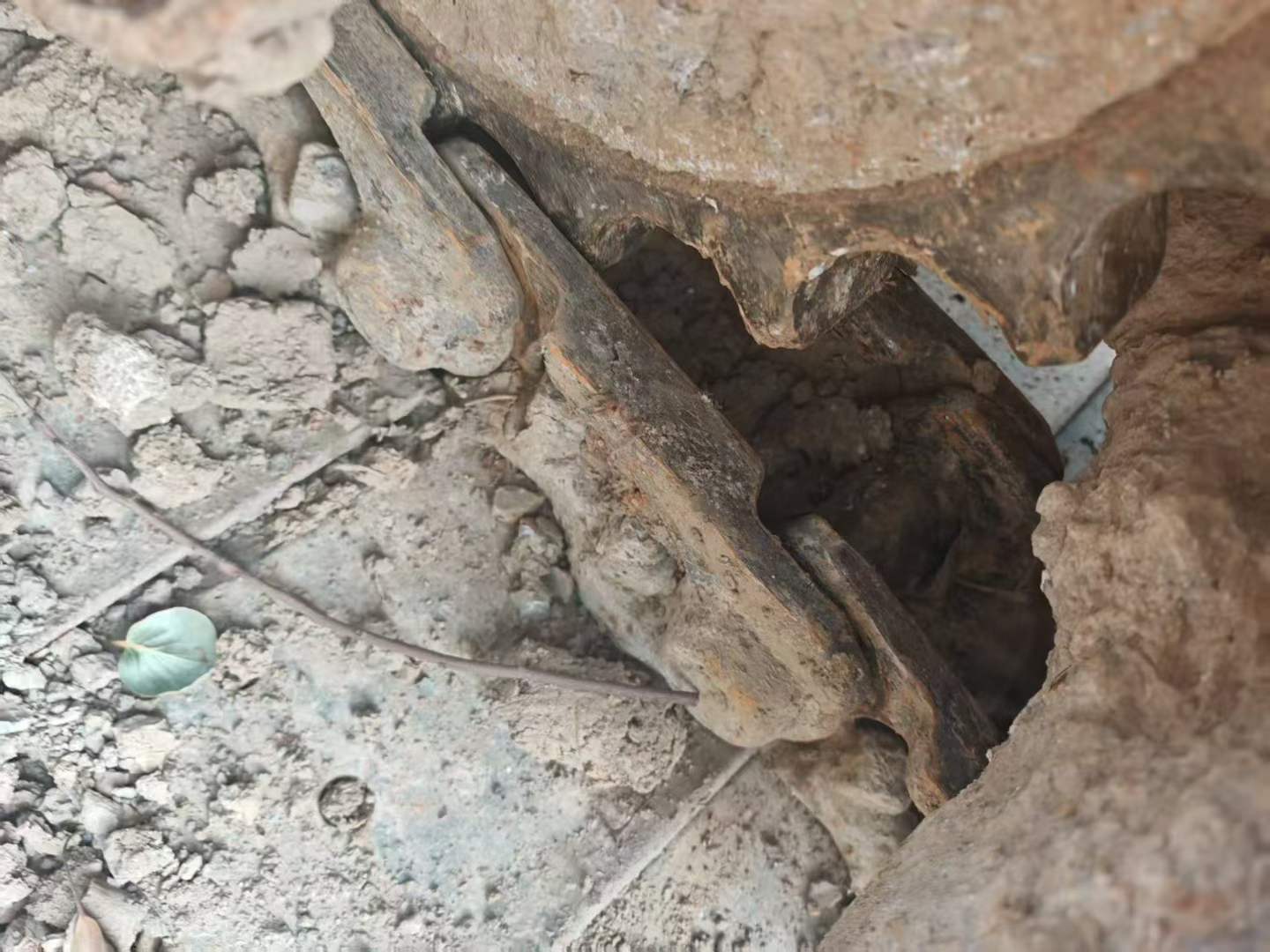 Used Sany SY55 Excavator 2018 Model / 3