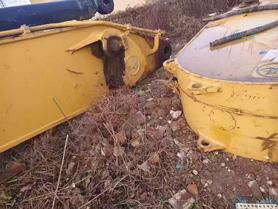 Buy Sany SY85 Used Excavator / 6 Used Sany SY85 Excavator 2016 Model / 6