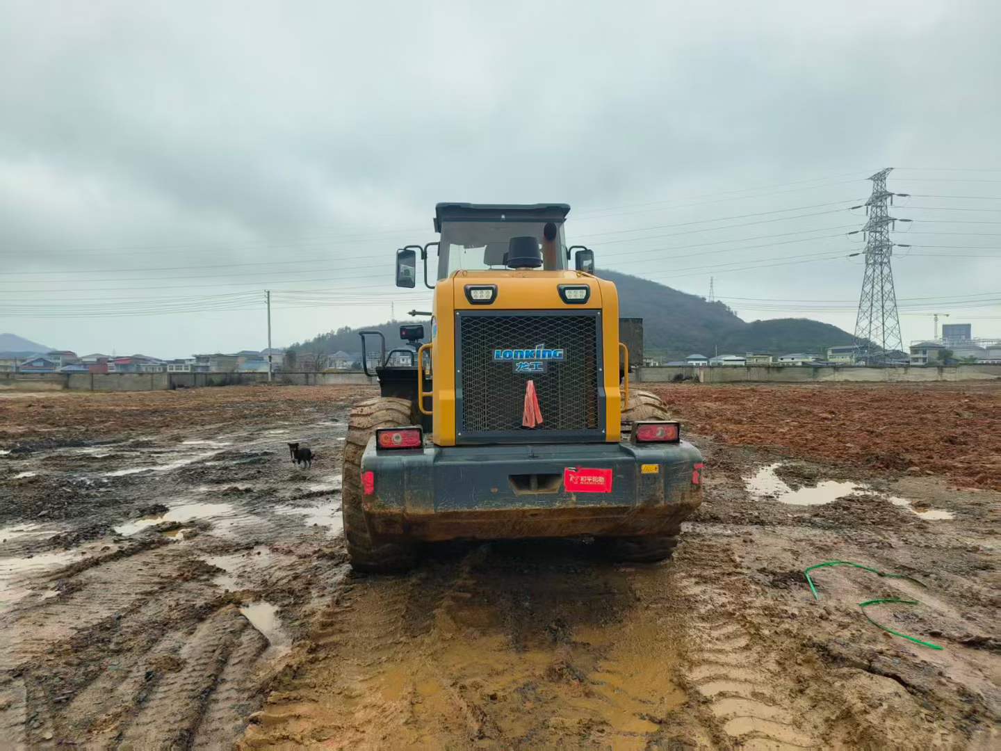 Buy Lonking ZL50 Used Loader / 3