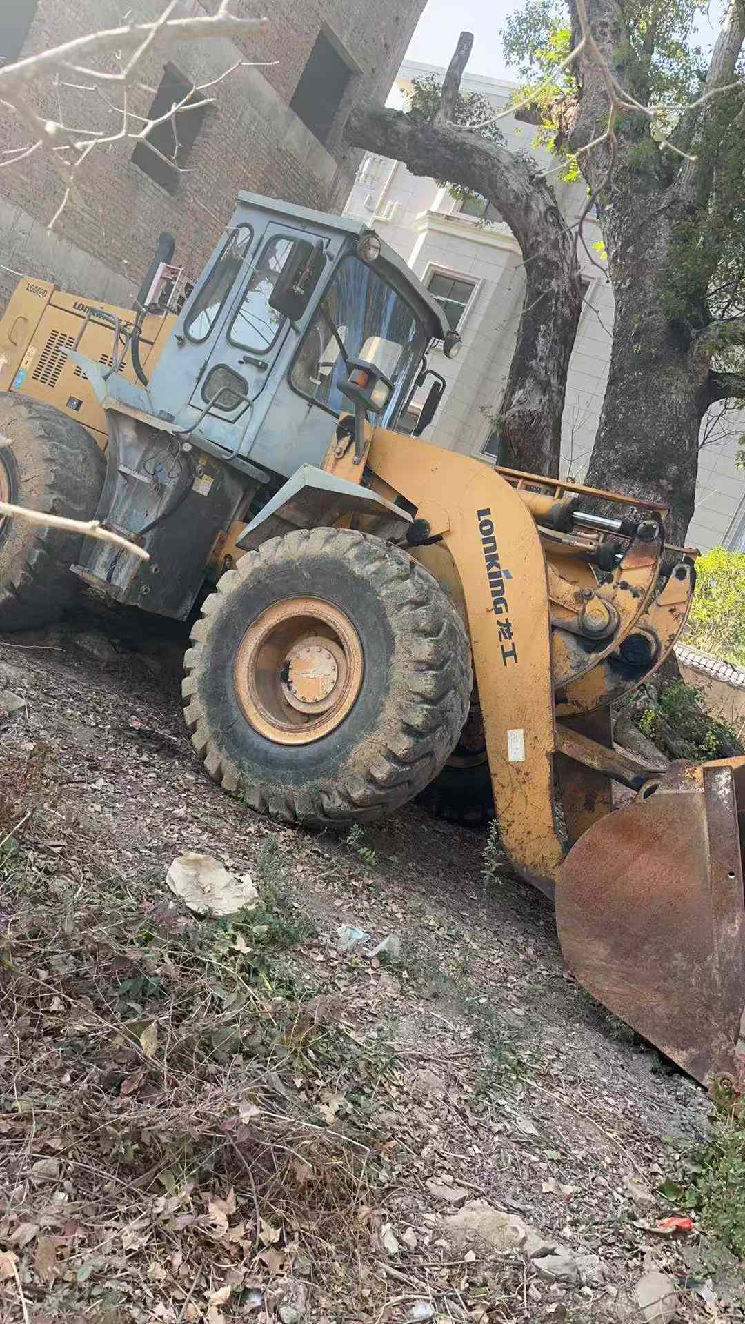 Buy Lonking ZL50D Used Loader