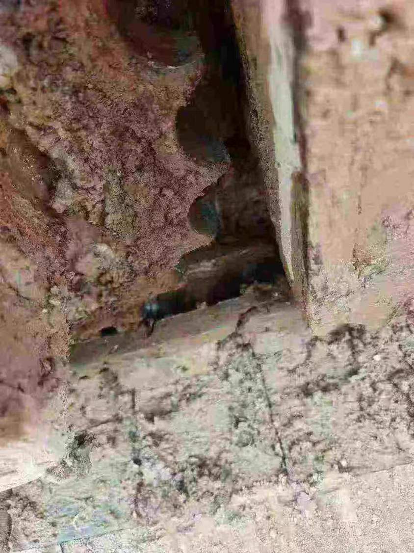 Used Doosan DH60 Excavator 2020 Model / 7