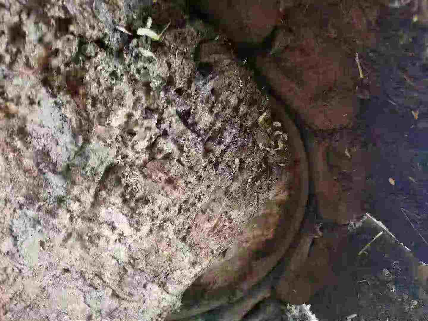 Used Komatsu PC56-7 Excavator 2019 Model / 2