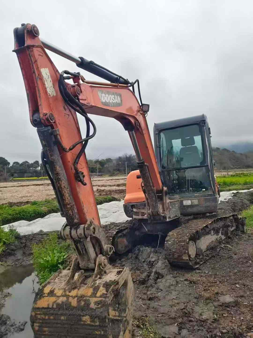 Used Doosan DX55W Excavator 2018 Model / 2