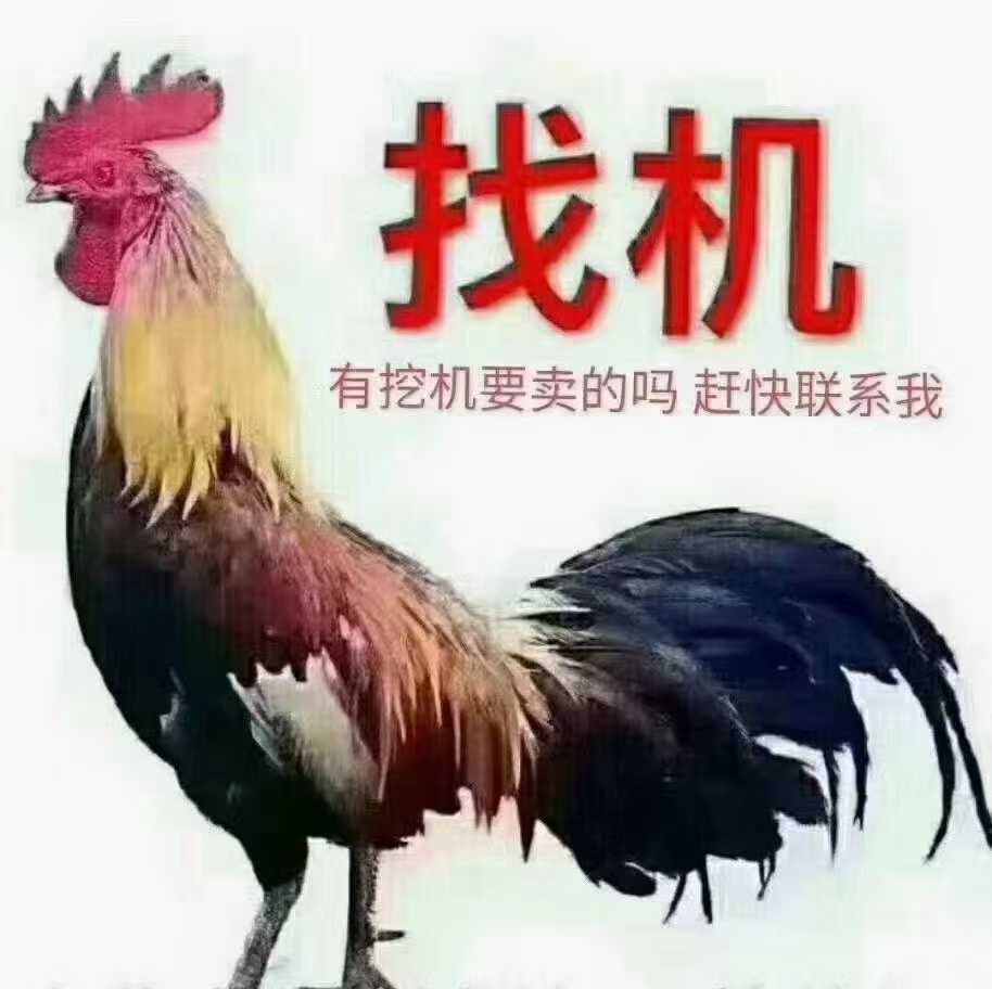 Used Komatsu PC130-7 Excavator 2016 Model / 3