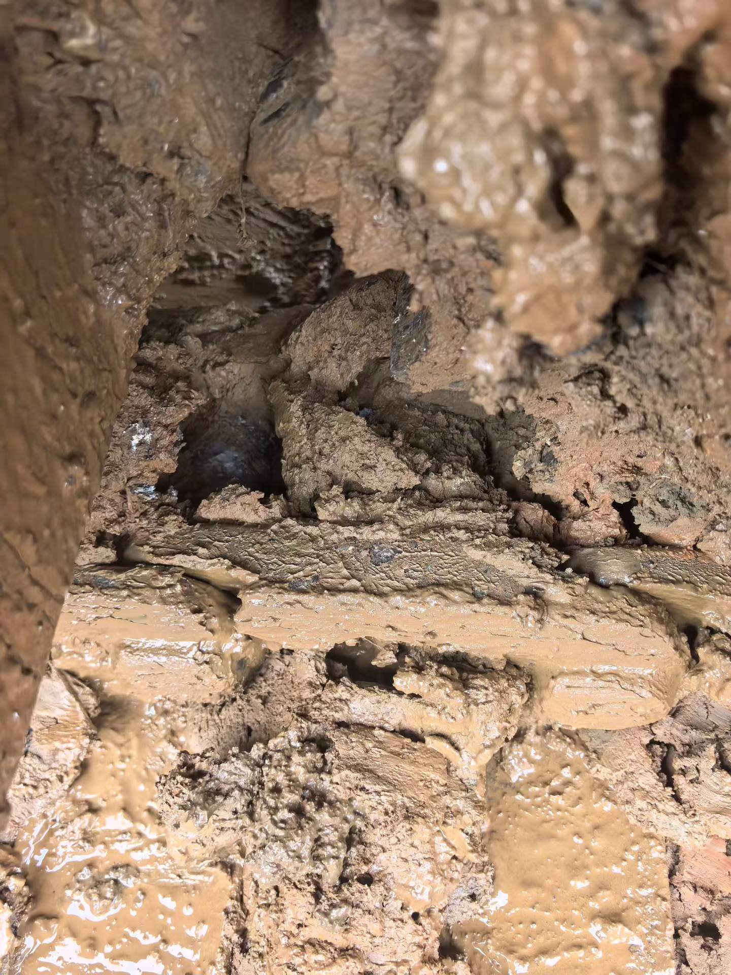 Used Sany SY205C Excavator 2020 Model / 7