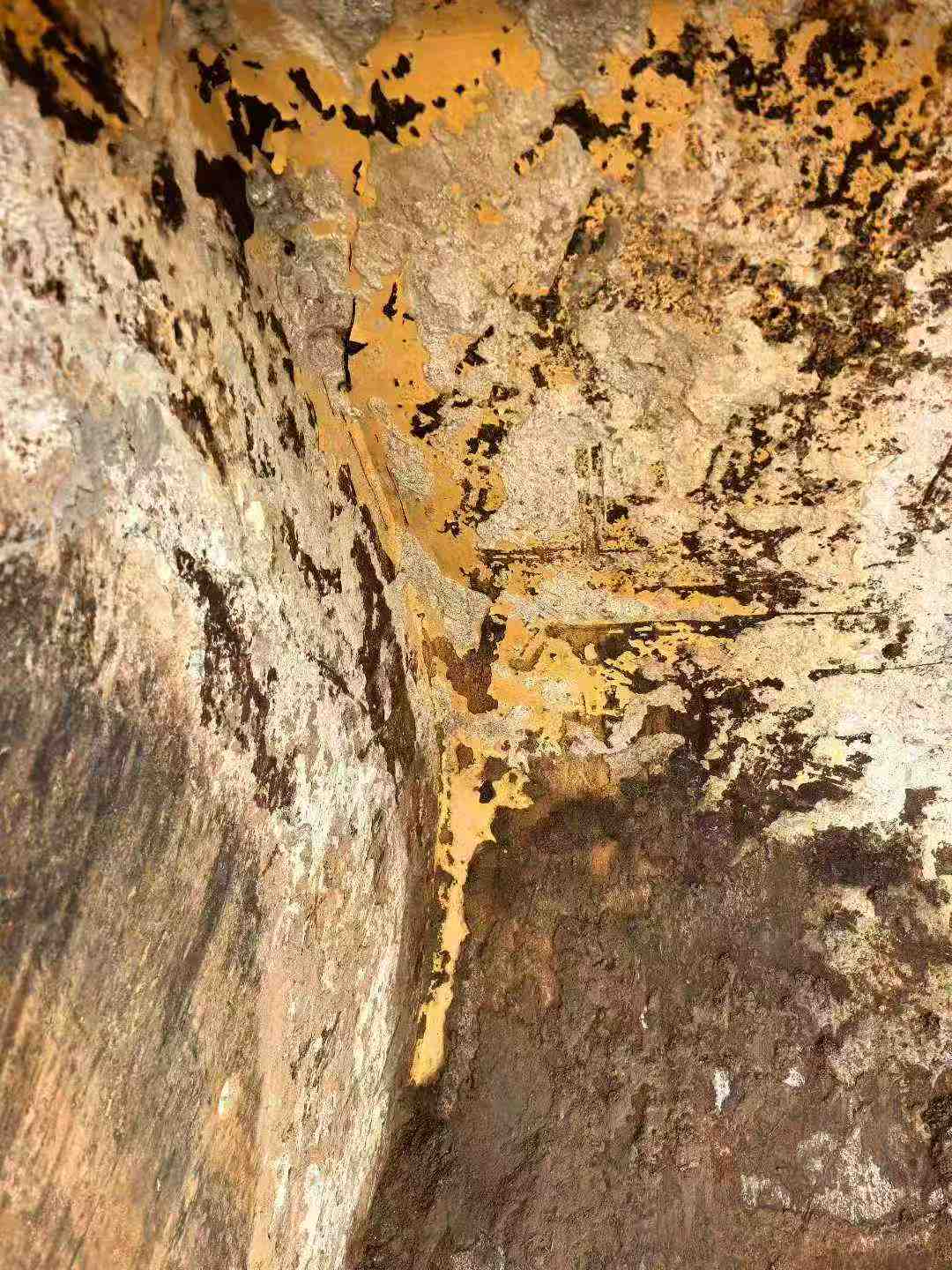 Buy Lonking ZL50HC Used Loader / 6