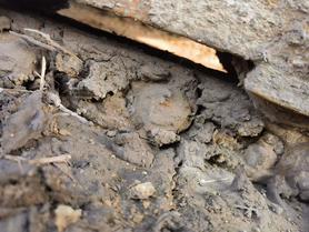 Buy Volvo EC55 Used Excavator / 7 Used Volvo EC55 Excavator 2013 Model / 7