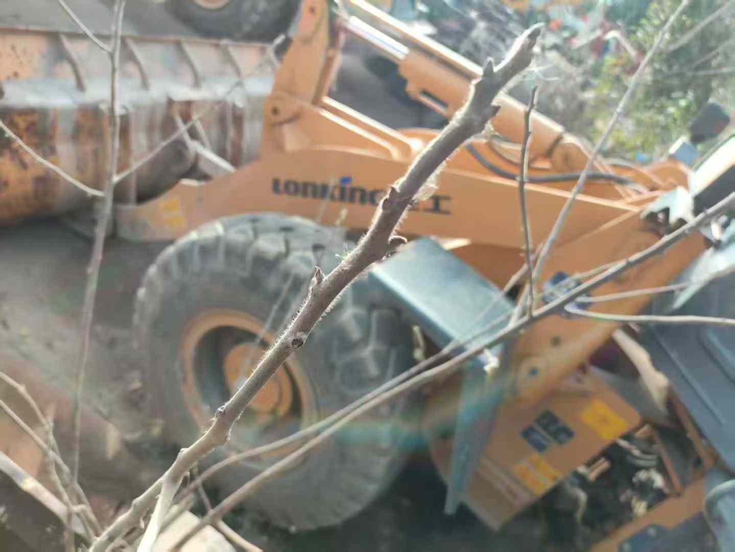 Buy Lonking LG833N Used Loader / 4