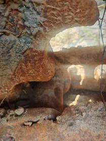 Buy Caterpillar 345B Used Excavator / 5 Used Caterpillar 345B Excavator 2016 Model / 5