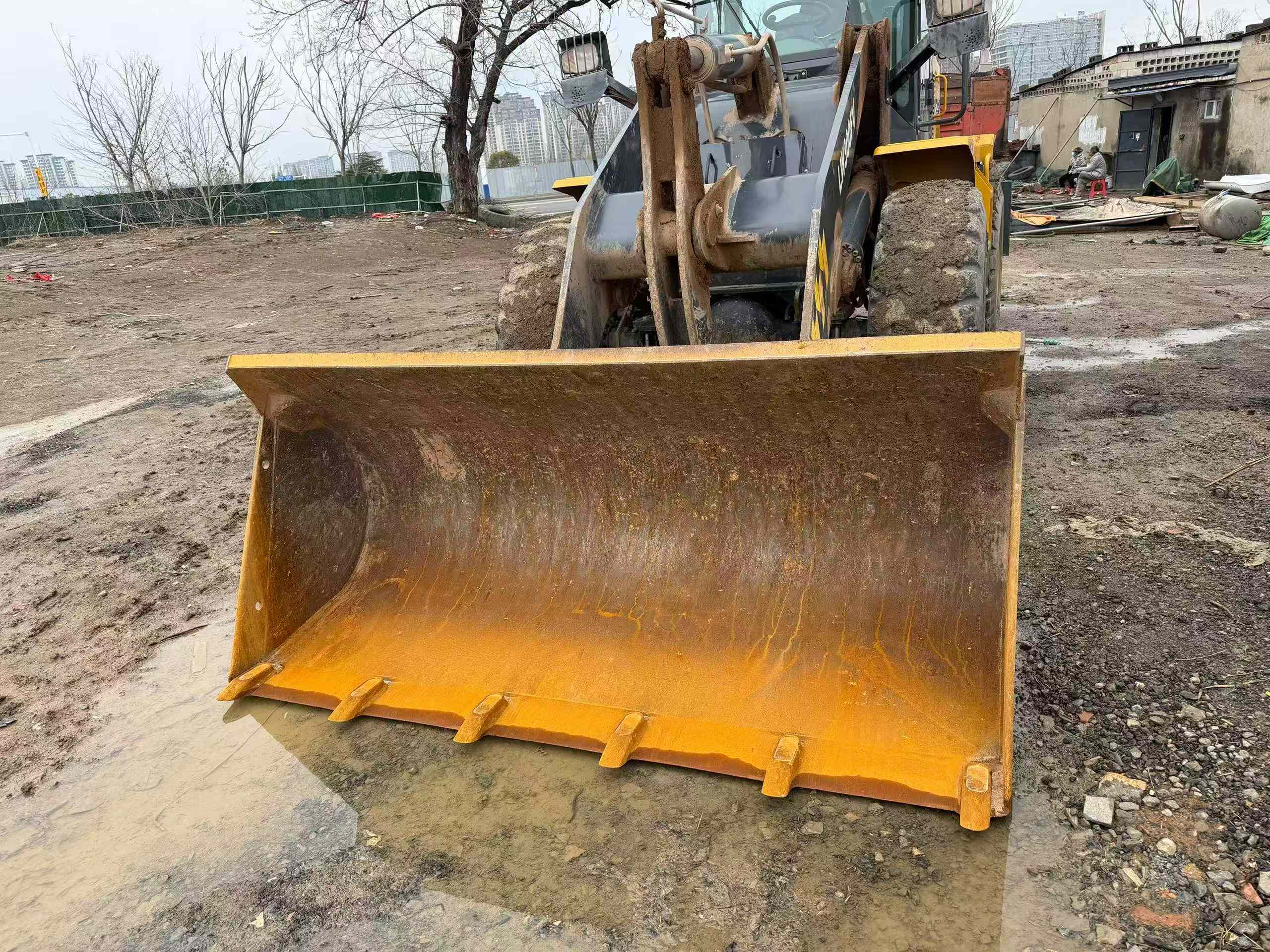 Used XCMG LW300F Loader 2019 Model / 5